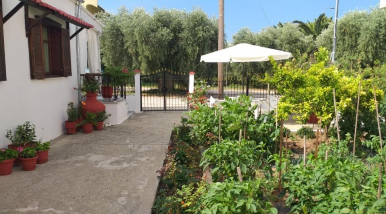 Katerina'S Cozy Home 斯卡拉索提罗斯 外观 照片